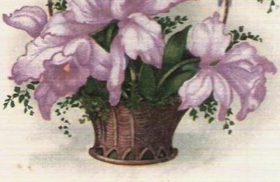 Ans - carte postale ancienne ''bonjour d'Ans''