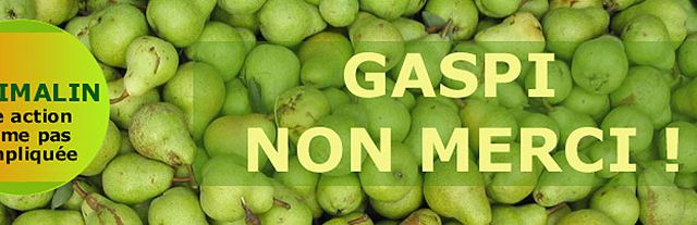 Ils sauvent des tonnes de fruits au profit d’œuvres caritatives
