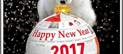 Bonne année ! (1er janvier 2017)