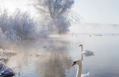 Vent d'hiver