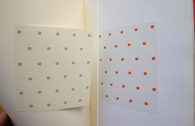 TORONI NIELE, DES GOÛTS ET DES COULEURS