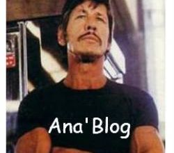 Un début d'année cahotique pour mes blogs.