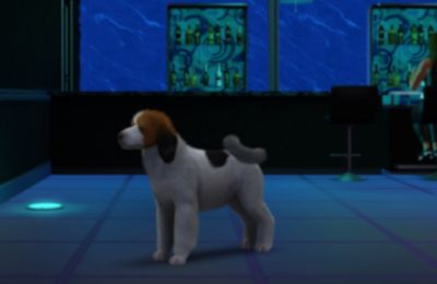 Génération 6 article 50 - Fin de soirée