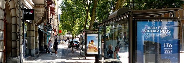 Metz / Début d'une promenade d'été sous les arbres... 