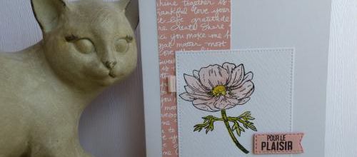 Toujours sur ... 