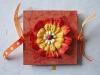 Scrap  Mini-albums