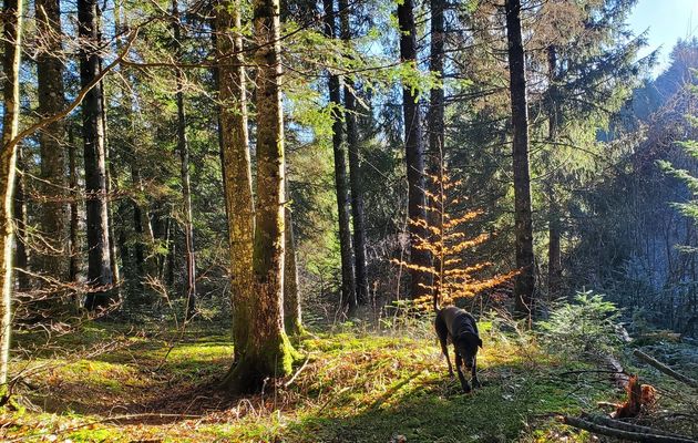 Le 13 février 2024 : Un petit tour de Praille