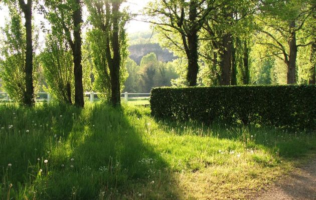 un soir dans la campagne