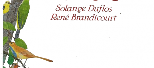 Dans le bois