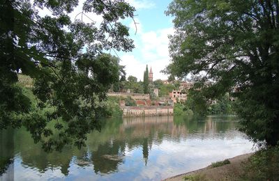 Albi - Tarn