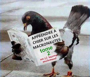 On ne rate pas l'humour du dimanche chez les Tiot - 09/2025