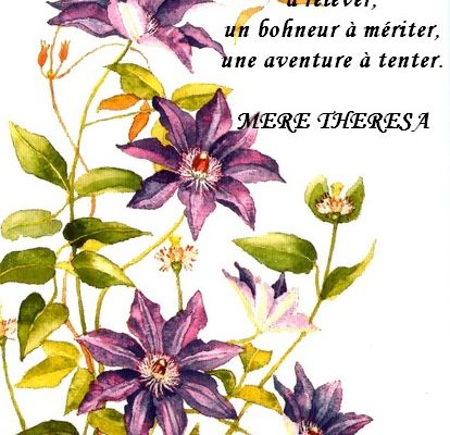 Citations en images La vie....