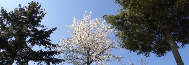 La Campagne..