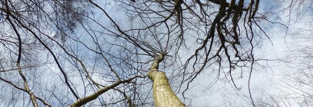 Sous le ciel de Durbuy...