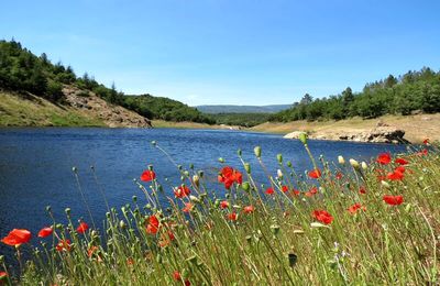  LAC DE MEAULX : dimanche 23 mai
