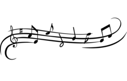 J+19 (20 février 2012)