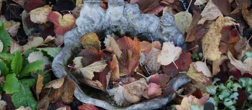 Ne rien oublier avant les grands froids