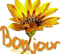 étui à lunettes  ,,, broderie point de chaînette ,,, tournesols géants 