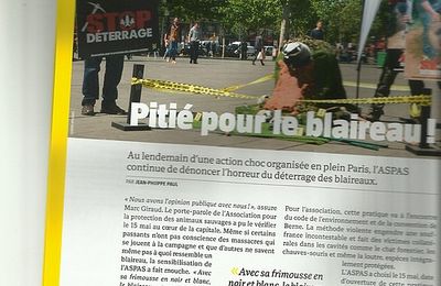 De toutes les couleurs