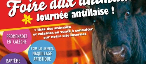 FOLKLORE  DANSE ET  CHANT