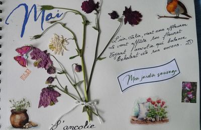 Le journal du mois : Mai 2025