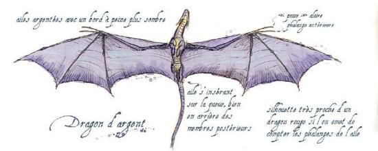 LE DRAGON D'ARGENT