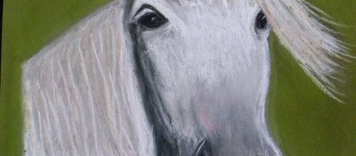 Cheval pour Angelina