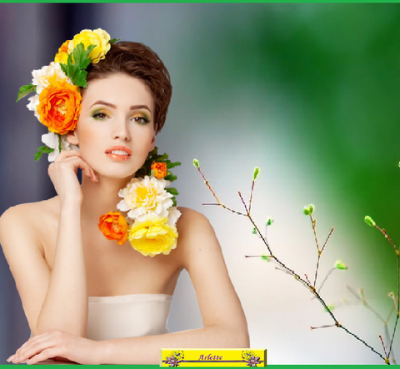 Blog en pause