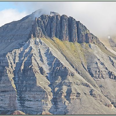 Île Coraholmen avec des oies et un oison visible et en arrière plan l'île Spitzberg avec son massif Kapitol (Capitole) - Fjord Ekmanfjorden - Svalbard - Norvège