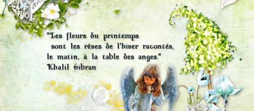 Les fleurs du printemps 
