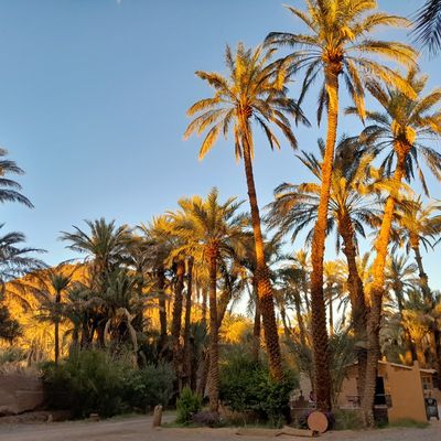 Depuis Essaouira le retour