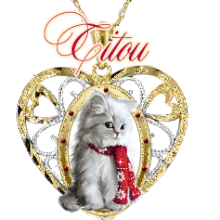 712B - Chat Bijou, signature, gif animé, blinkie