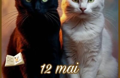 Des commentaires impossibles à publier
