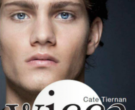 Wicca, tome 4 : Les Retrouvailles