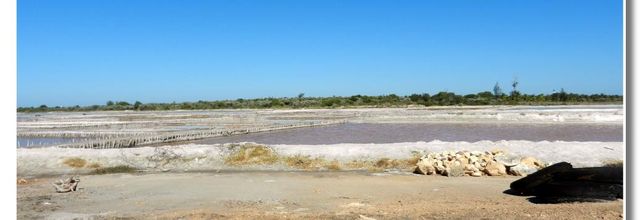 Les salines de Manakara , sud est   de Madagascar