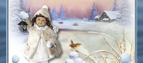  La neige arrive ...