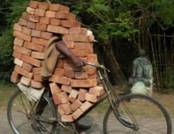 Défi N°191 : Ah! Si j'avais écouté mon père..