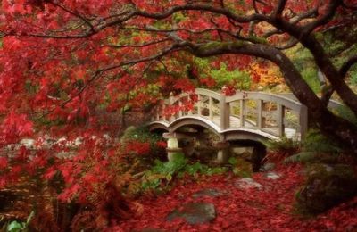 Poésie d'Automne