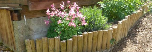 Les fleurs du jardin..