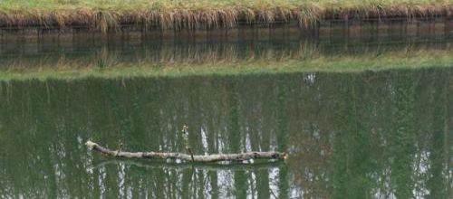 miroir