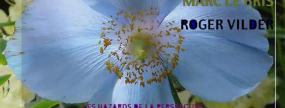 LES HAZARS DE LA PERSPECTIVE, AVEC UN Z POUR LE BIZ'ART-ARCHIVE