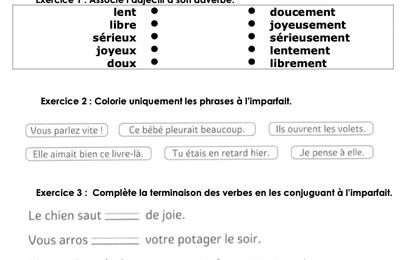 Evaluation français Période 5 (l'imparfait + l'adverbe)
