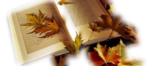 Livre/La ronde des innocents