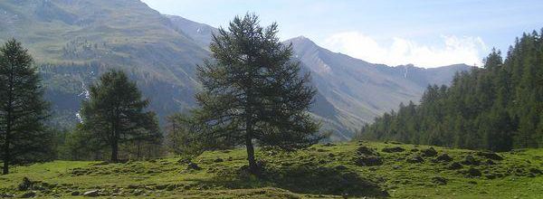 Royaume