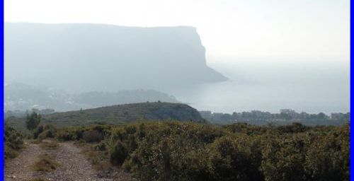 Cassis - Le vallat des Brayes