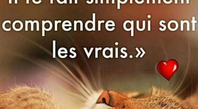 Les vrais amis
