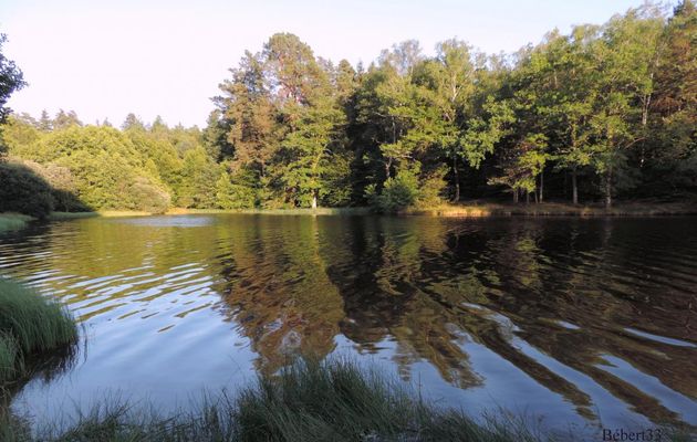 Reflets de fin d'AM
