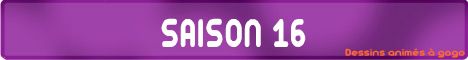Pokémon - Guide des saisons - Saison 16