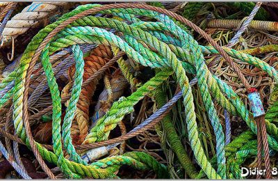 Cordages (1)
