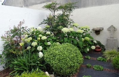 Voyage au jardin